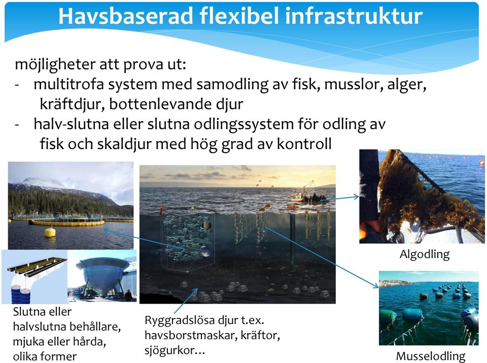 odling av fisk och skaldjur med hög grad av kontroll Algodling Slutna eller halvslutna behållare,