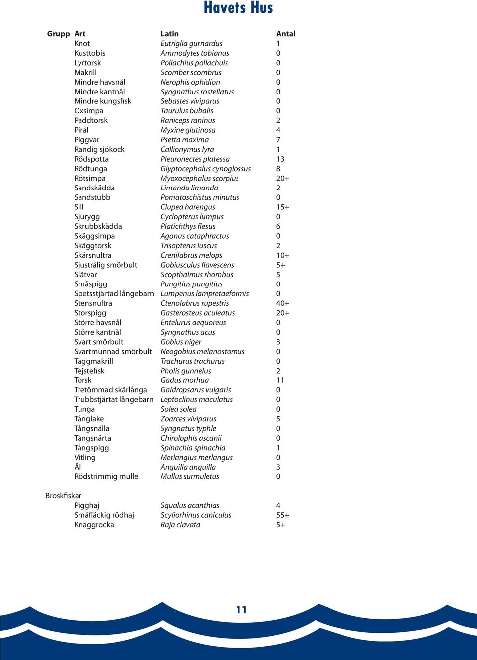 1 Rödspotta Pleuronectes platessa 13 Rödtunga Glyptocephalus cynoglossus 8 Rötsimpa Myoxocephalus scorpius 20+ Sandskädda Limanda limanda 2 Sandstubb Pomatoschistus minutus 0 Sill Clupea harengus 15+