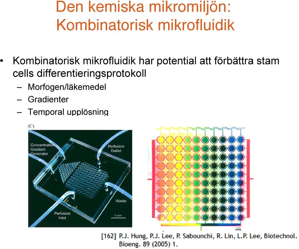 potential att förbättra stam cells