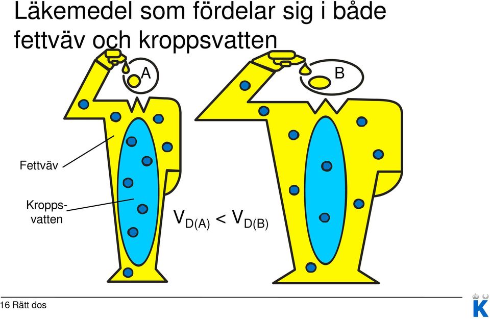 kroppsvatten A B Fettväv