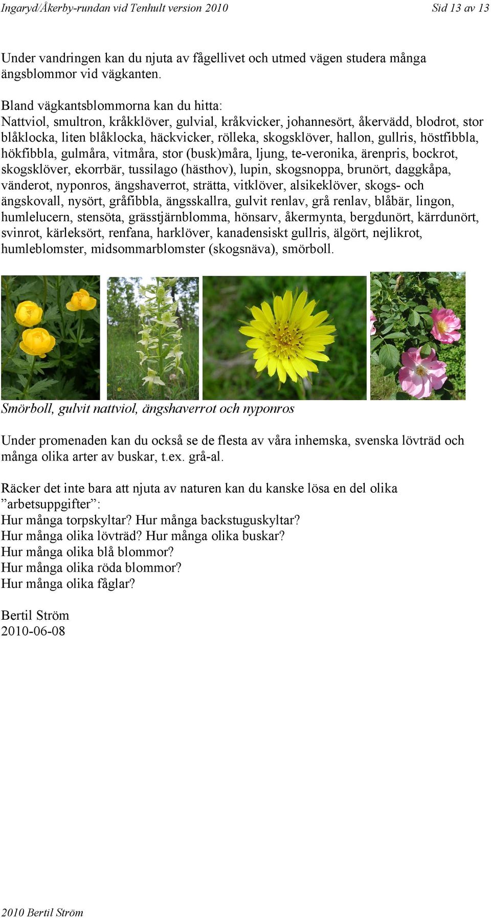 gullris, höstfibbla, hökfibbla, gulmåra, vitmåra, stor (busk)måra, ljung, te-veronika, ärenpris, bockrot, skogsklöver, ekorrbär, tussilago (hästhov), lupin, skogsnoppa, brunört, daggkåpa, vänderot,