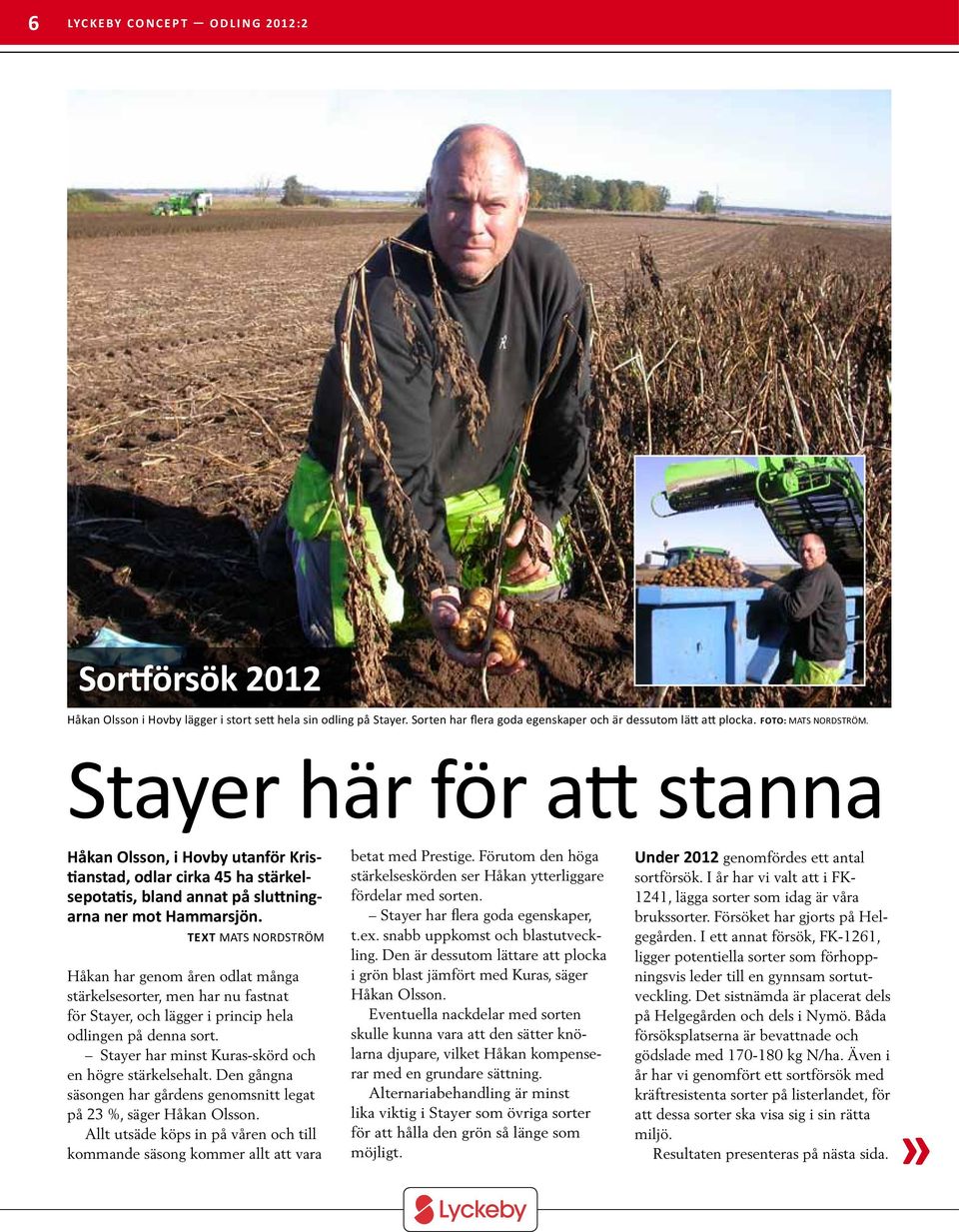 Text mats nordström Håkan har genom åren odlat många stärkelsesorter, men har nu fastnat för Stayer, och lägger i princip hela odlingen på denna sort.