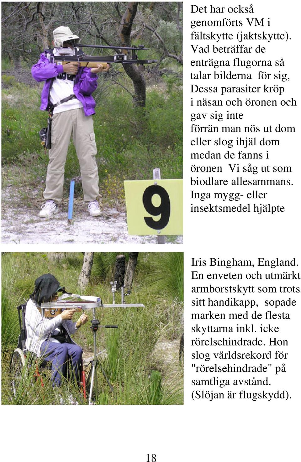 dom eller slog ihjäl dom medan de fanns i öronen Vi såg ut som biodlare allesammans.