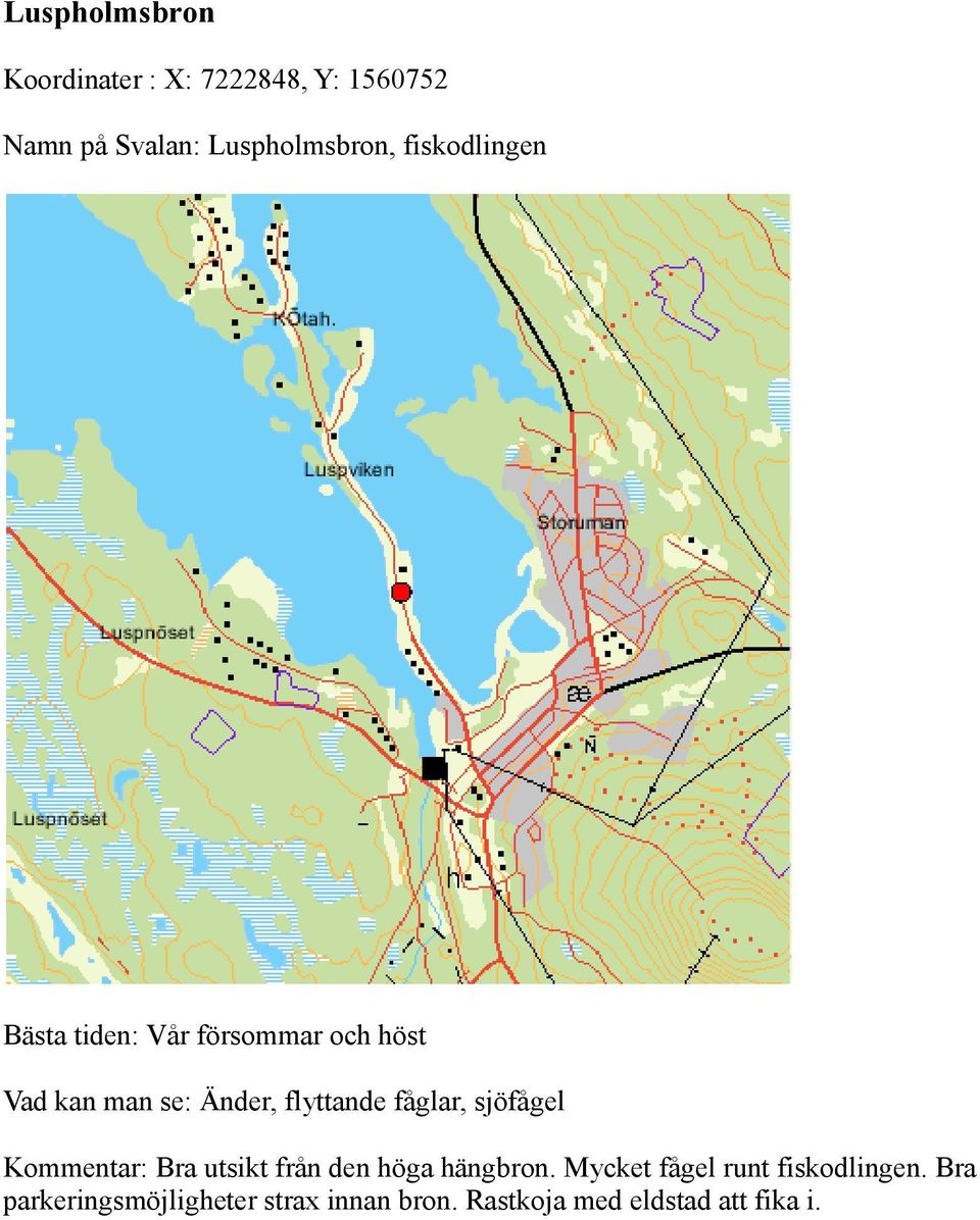 fåglar, sjöfågel Kommentar: Bra utsikt från den höga hängbron.