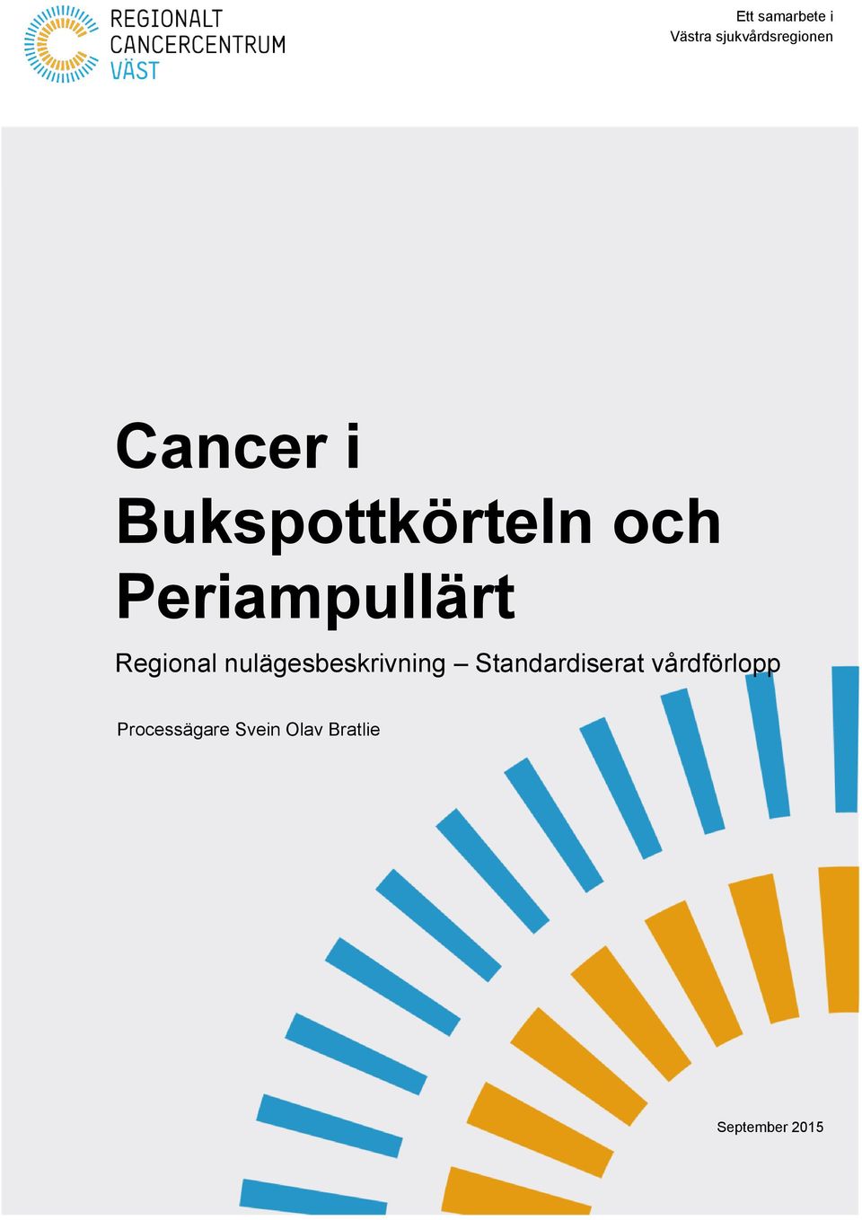 Regional nulägesbeskrivning Standardiserat