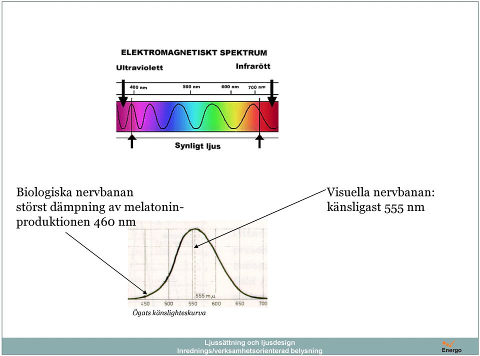 melatoninproduktionen 460 nm