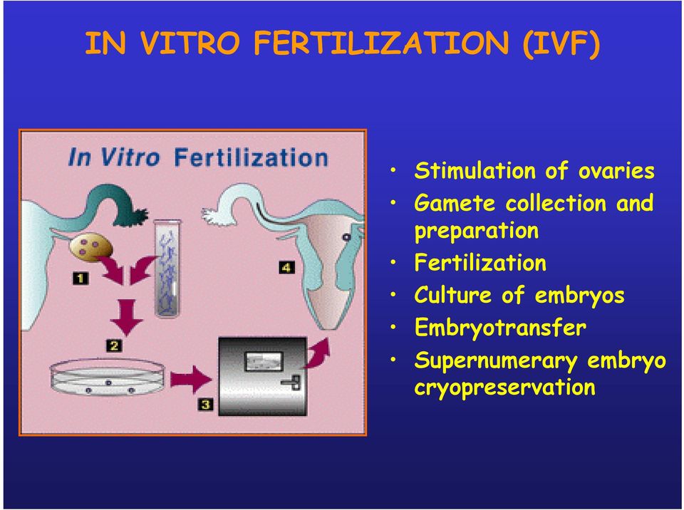 preparation Fertilization Culture of