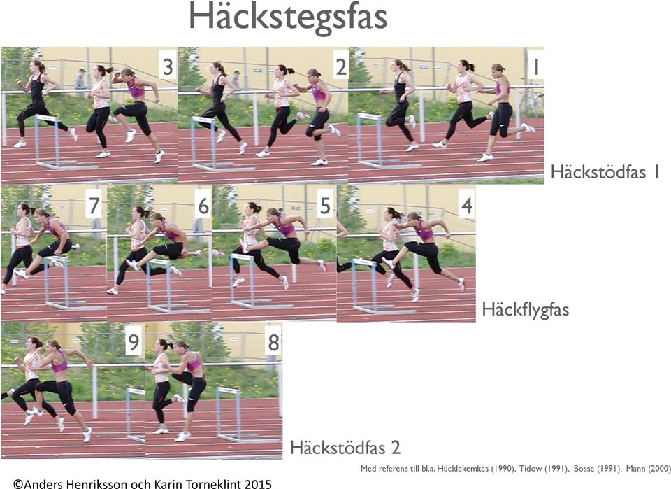 bl.a. Hücklekemkes (1990), Tidow (1991), Bosse