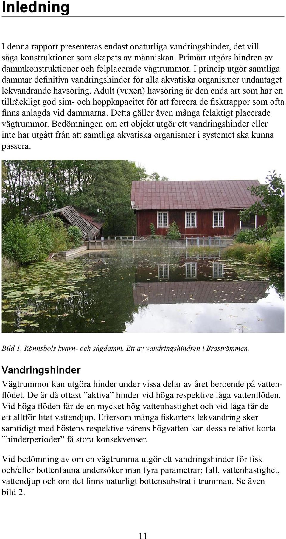 Adult (vuxen) havsöring är den enda art som har en tillräckligt god sim- och hoppkapacitet för att forcera de fisktrappor som ofta finns anlagda vid dammarna.