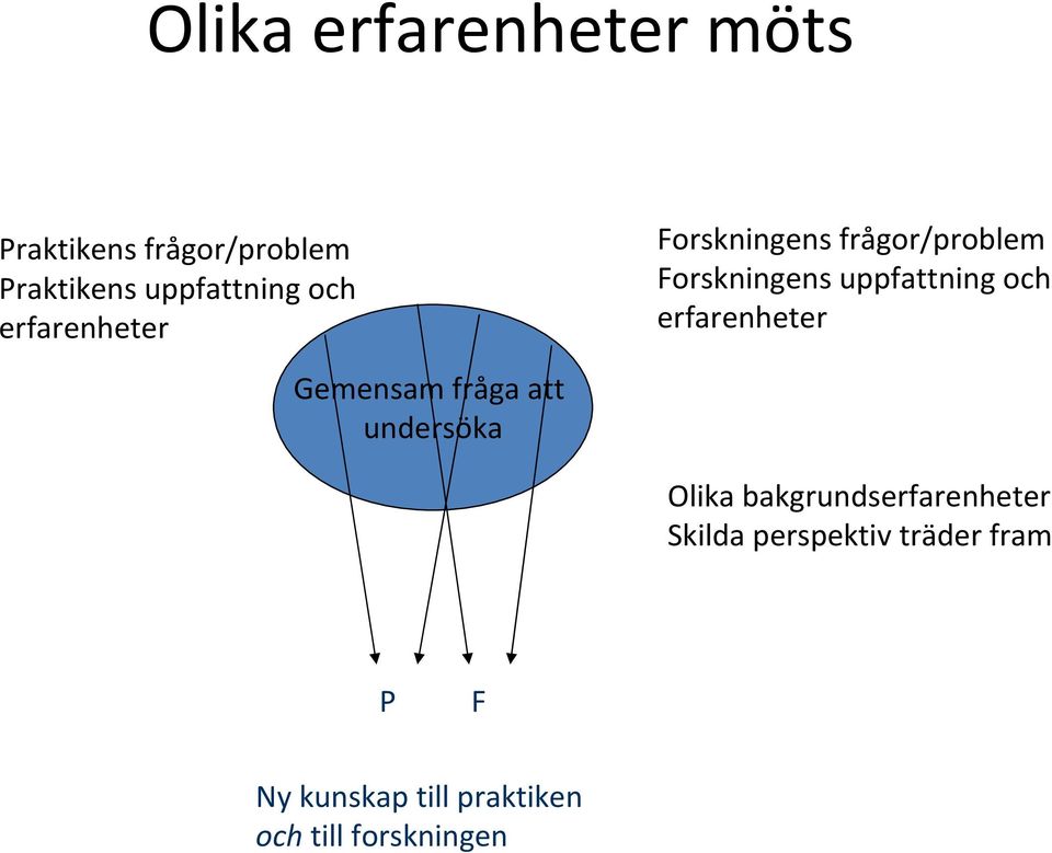 erfarenheter Gemensam fråga att undersöka Olika bakgrundserfarenheter