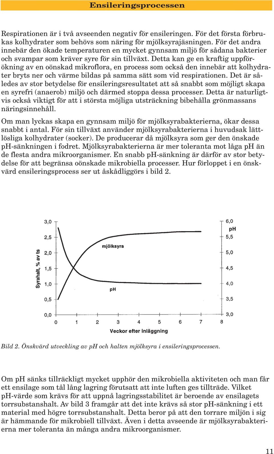 Detta kan ge en kraftig uppförökning av en oönskad mikroflora, en process som också den innebär att kolhydrater bryts ner och värme bildas på samma sätt som vid respirationen.