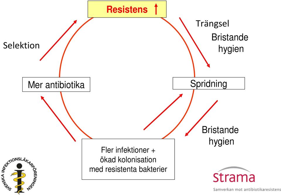 Spridning Fler infektioner + ökad