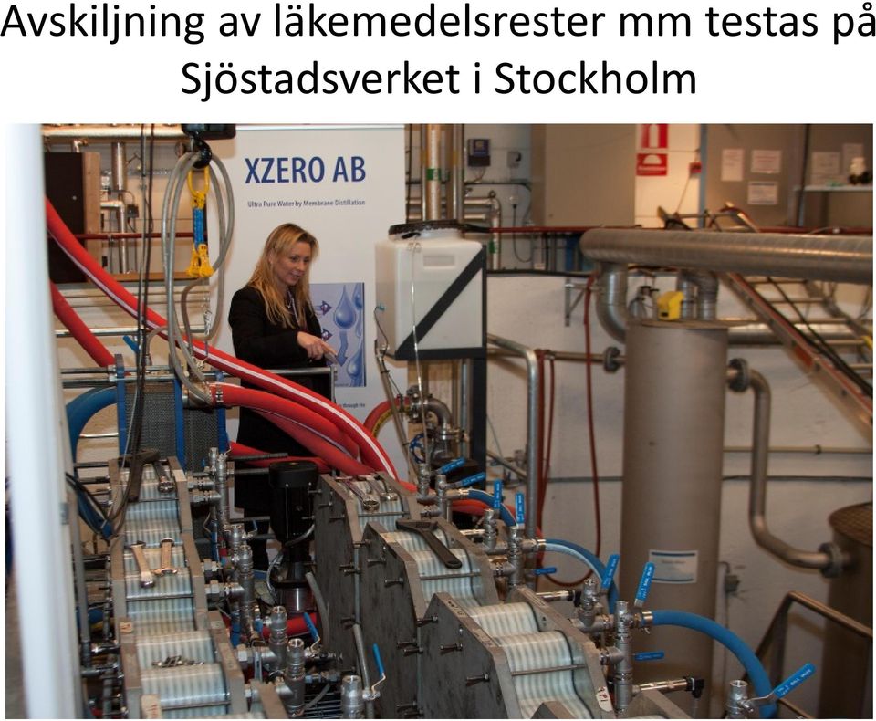 mm testas på