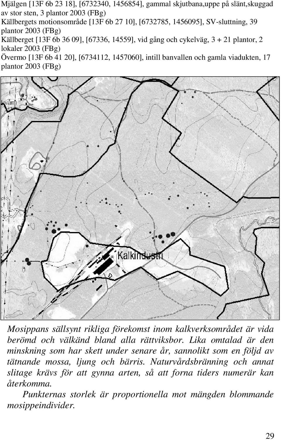 Mosippans sällsynt rikliga förekomst inom kalkverksområdet är vida berömd och välkänd bland alla rättviksbor.