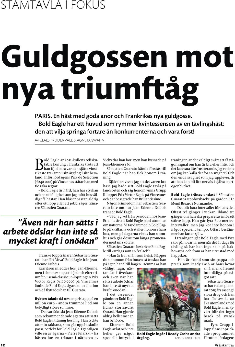 Av CLAES FREIDENVALL & AGNETA SWAHN Bold Eagle är 2011-kullens odiskutable konung i Frankrike trots att han ifjol bara var den sjätte vinst - rikaste travaren i sin årgång i sitt hemland.