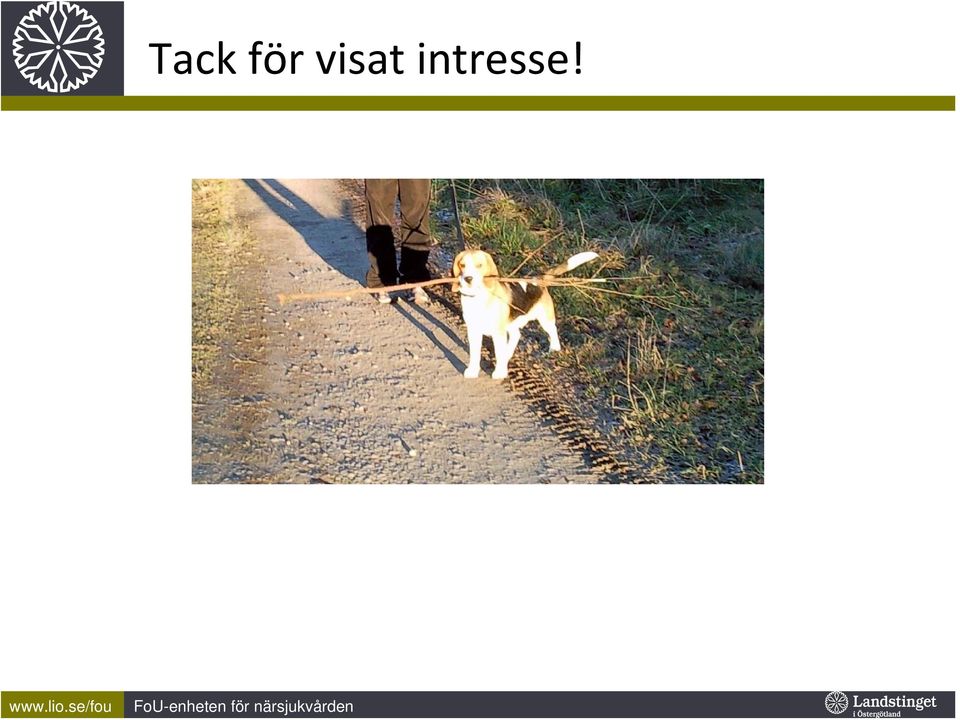 intresse!