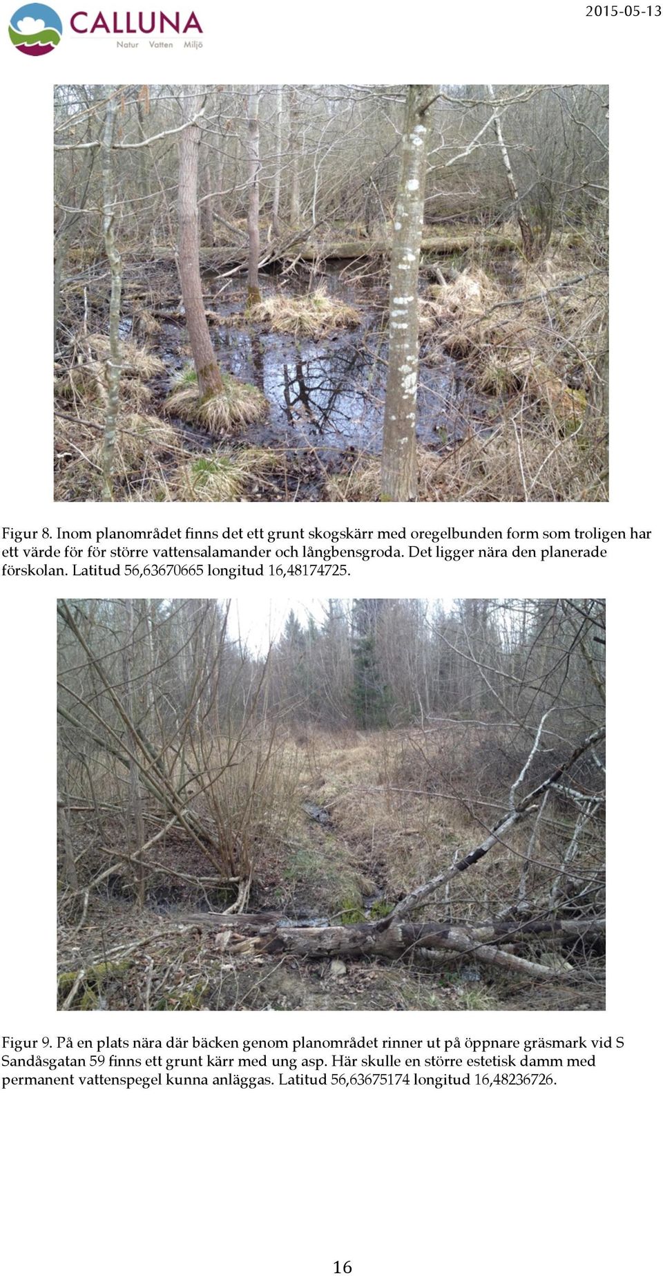vattensalamander och långbensgroda. Det ligger nära den planerade förskolan. Latitud 56,63670665 longitud 16,48174725.
