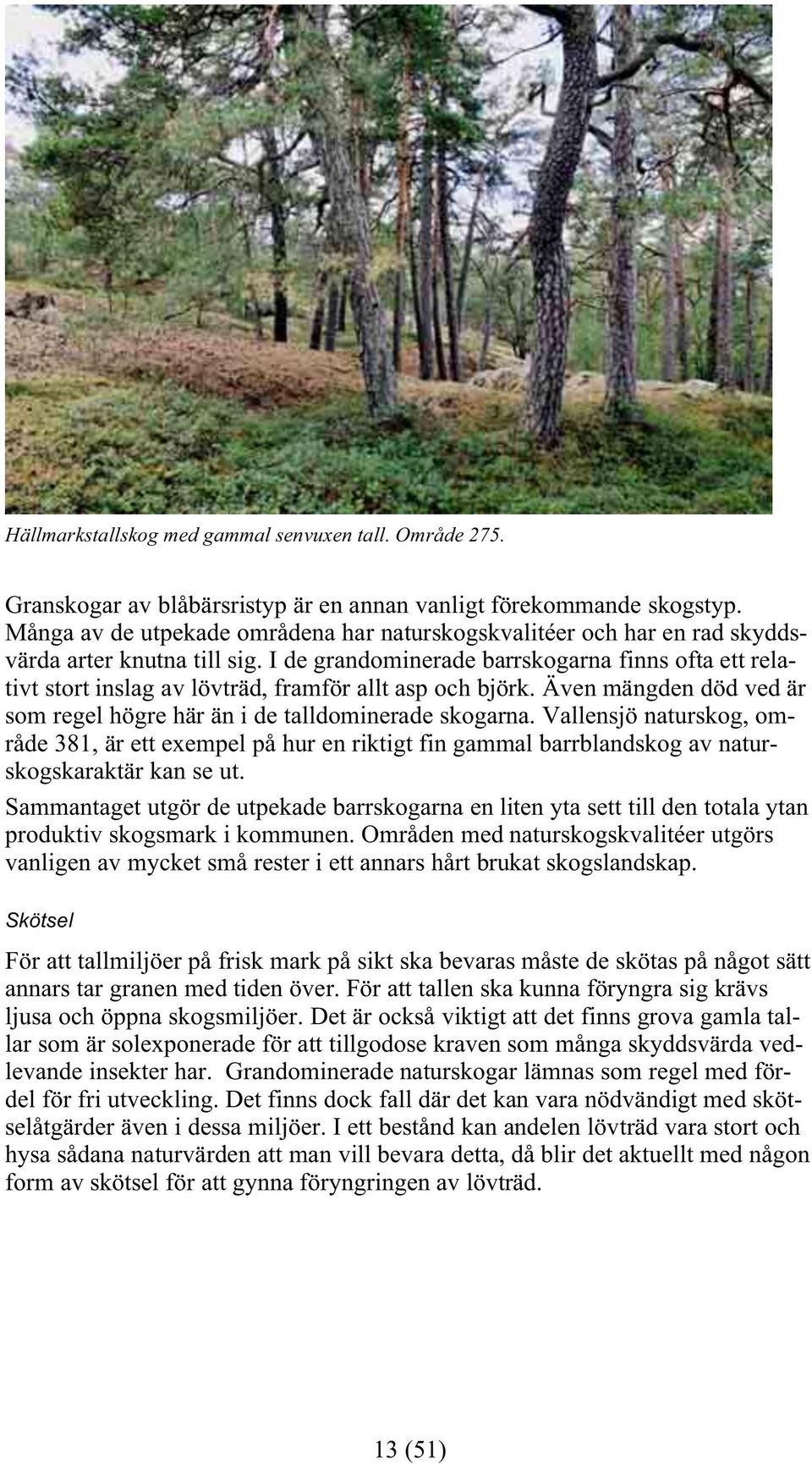I de grandominerade barrskogarna finns ofta ett relativt stort inslag av lövträd, framför allt asp och björk. Även mängden död ved är som regel högre här än i de talldominerade skogarna.