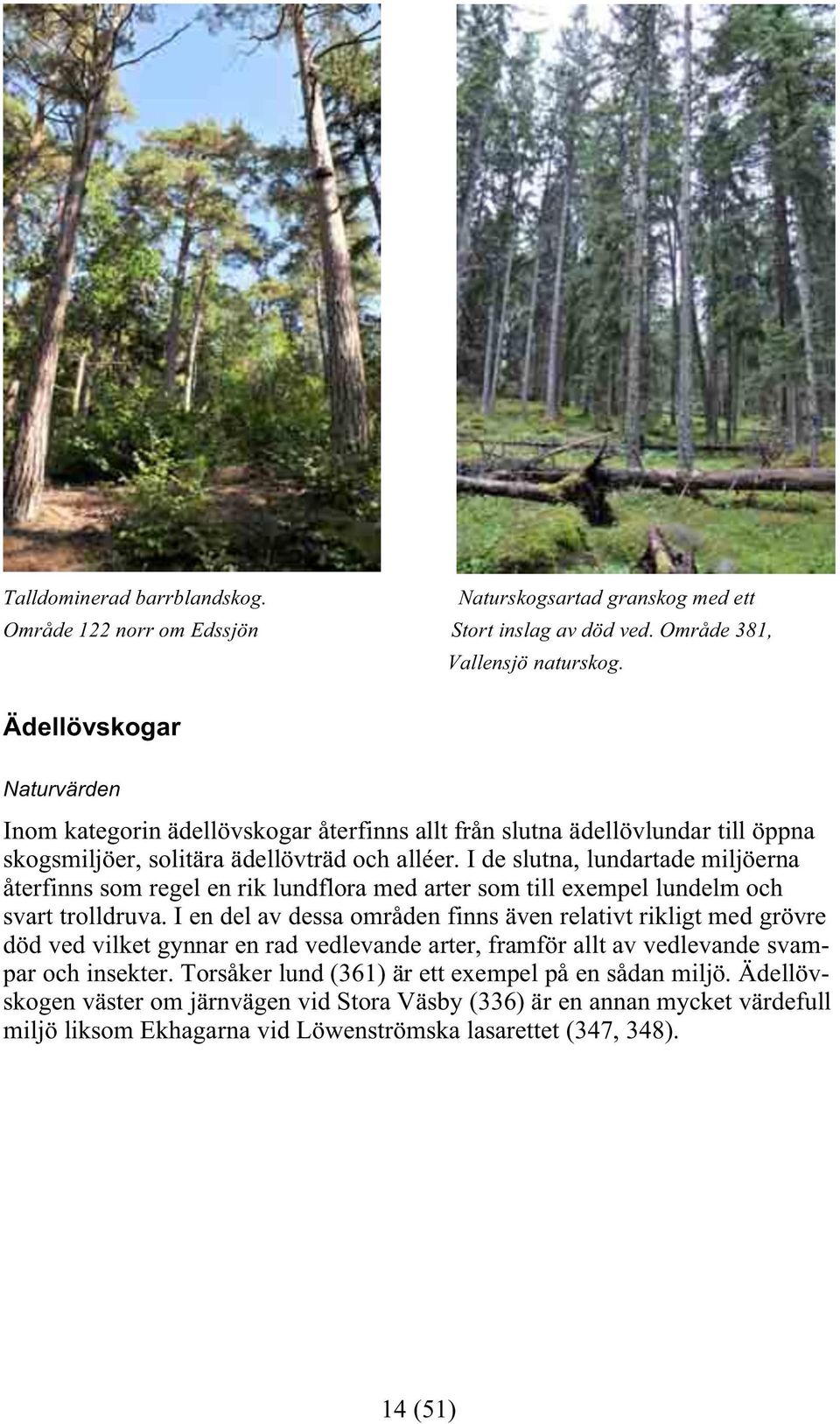I de slutna, lundartade miljöerna återfinns som regel en rik lundflora med arter som till exempel lundelm och svart trolldruva.