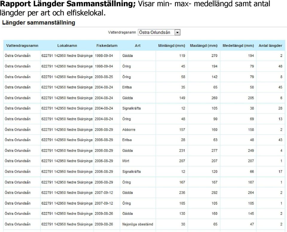 min- max- medellängd samt