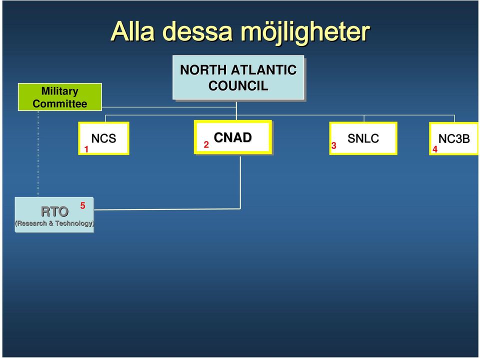 ATLANTIC COUNCIL NCS CNAD SNLC