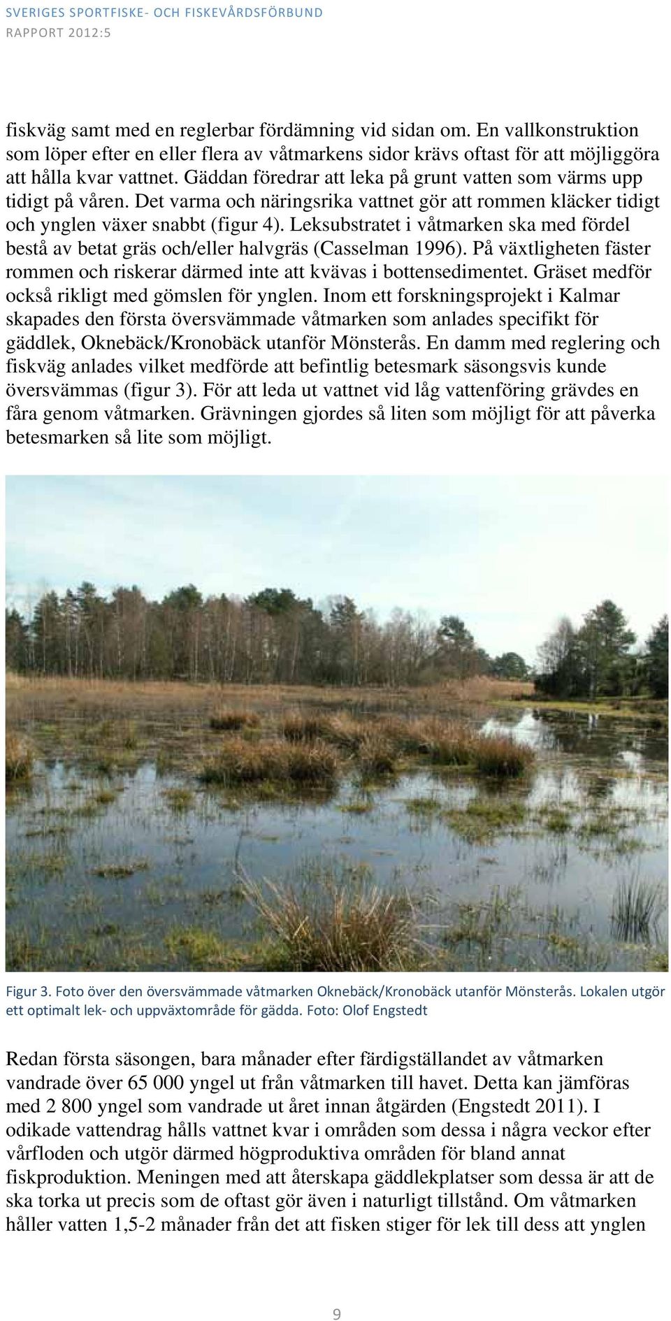 Leksubstratet i våtmarken ska med fördel bestå av betat gräs och/eller halvgräs (Casselman 1996). På växtligheten fäster rommen och riskerar därmed inte att kvävas i bottensedimentet.