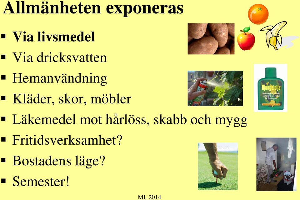 möbler Läkemedel mot hårlöss, skabb och