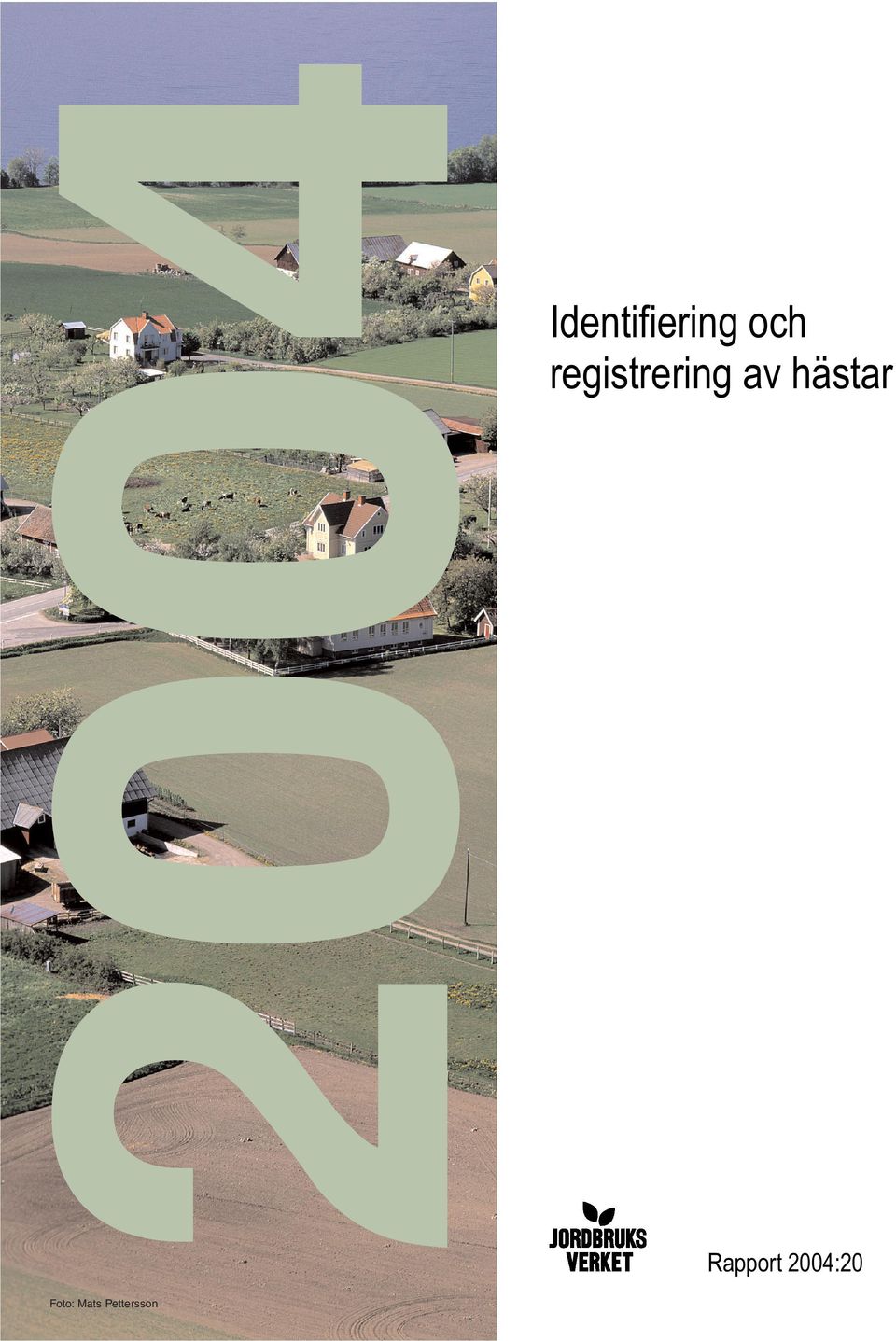 hästar Rapport