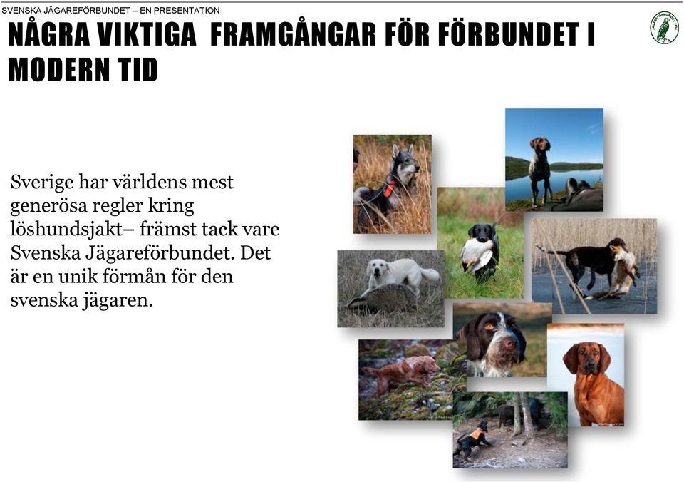 löshundsjakt främst tack vare Svenska Jägareförbundet.