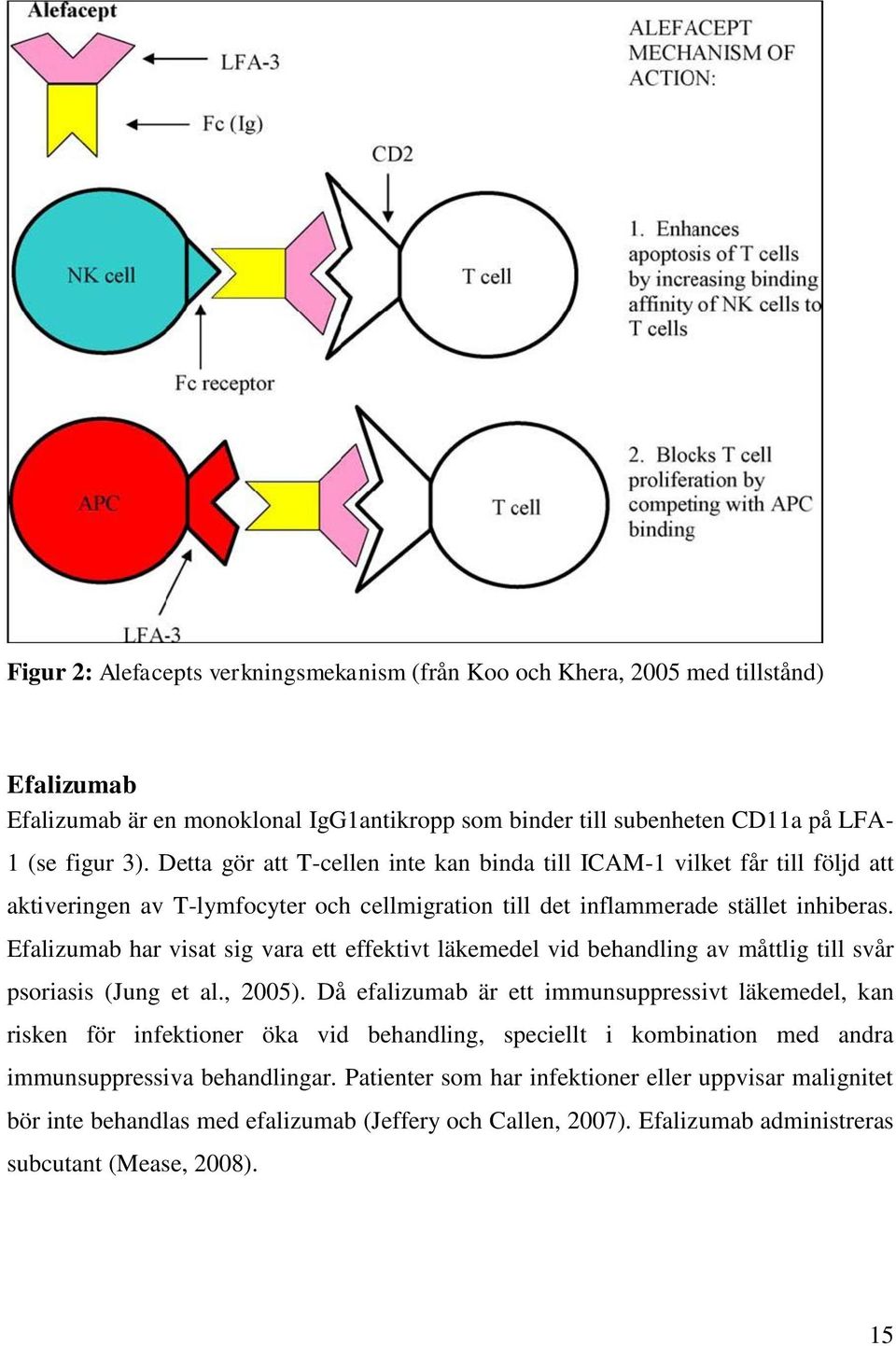 Efalizumab har visat sig vara ett effektivt läkemedel vid behandling av måttlig till svår psoriasis (Jung et al., 2005).