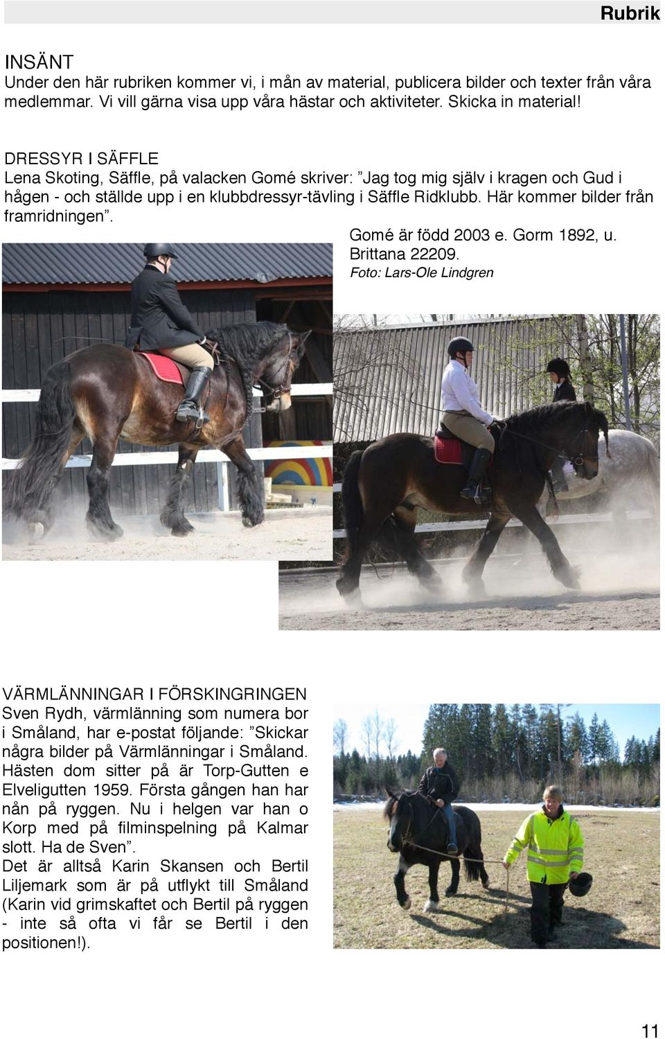 Här kommer bilder från framridningen. Gomé är född 2003 e. Gorm 1892, u. Brittana 22209.