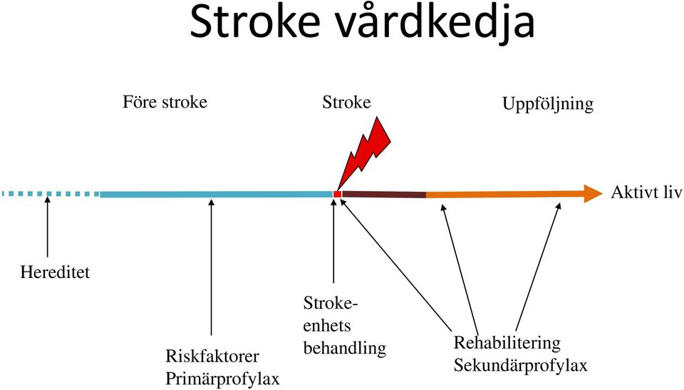 Riskfaktorer Primärprofylax