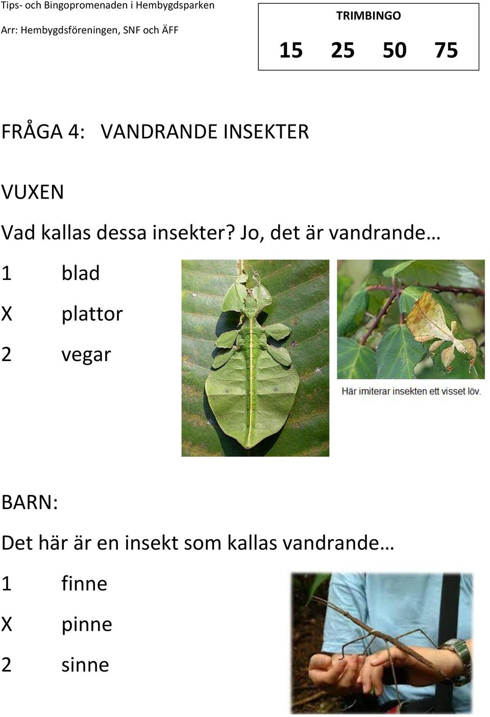 Jo, det är vandrande 1 blad plattor 2 vegar :