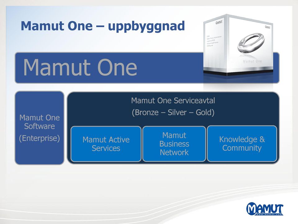 Mamut One Serviceavtal (Bronze Silver Gold)