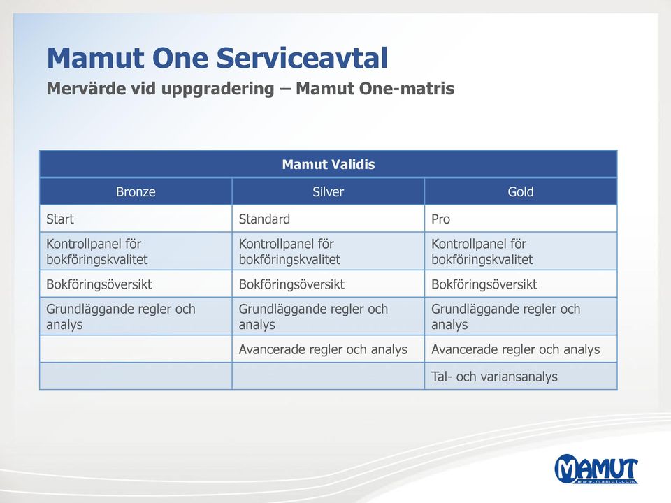 Bokföringsöversikt Bokföringsöversikt Bokföringsöversikt Grundläggande regler och analys Grundläggande regler och