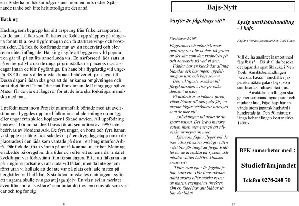 Då fick de fortfarande mat av sin fodervärd och blev senare åter infångade. Hacking i syfte att bygga en vild population går till på ett lite annorlunda vis.