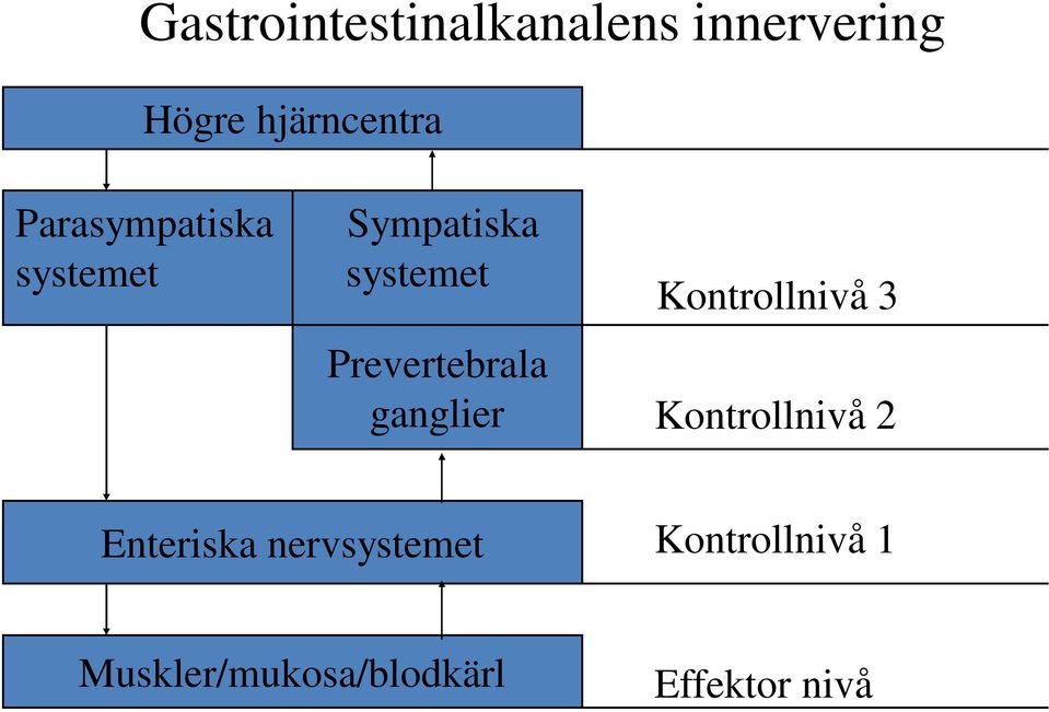 Prevertebrala ganglier Kontrollnivå 3 Kontrollnivå 2