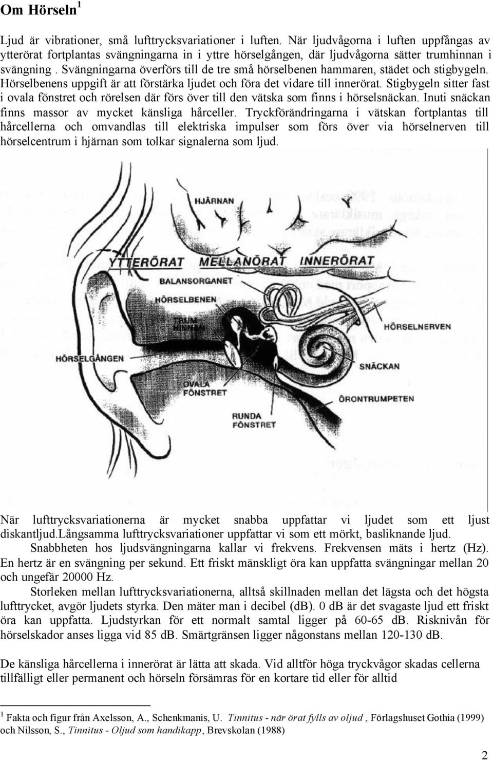 Svängningarna överförs till de tre små hörselbenen hammaren, städet och stigbygeln. Hörselbenens uppgift är att förstärka ljudet och föra det vidare till innerörat.