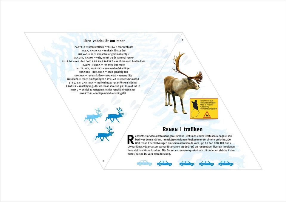 ROUKUA = renens läte NULKATA = renen småspringer RYKIMÄ = renens brunsttid ETTO, ETTOAMINEN = indrivning av renar för renskiljning EROTUS = renskiljning, där de renar som ska gå till slakt tas ut