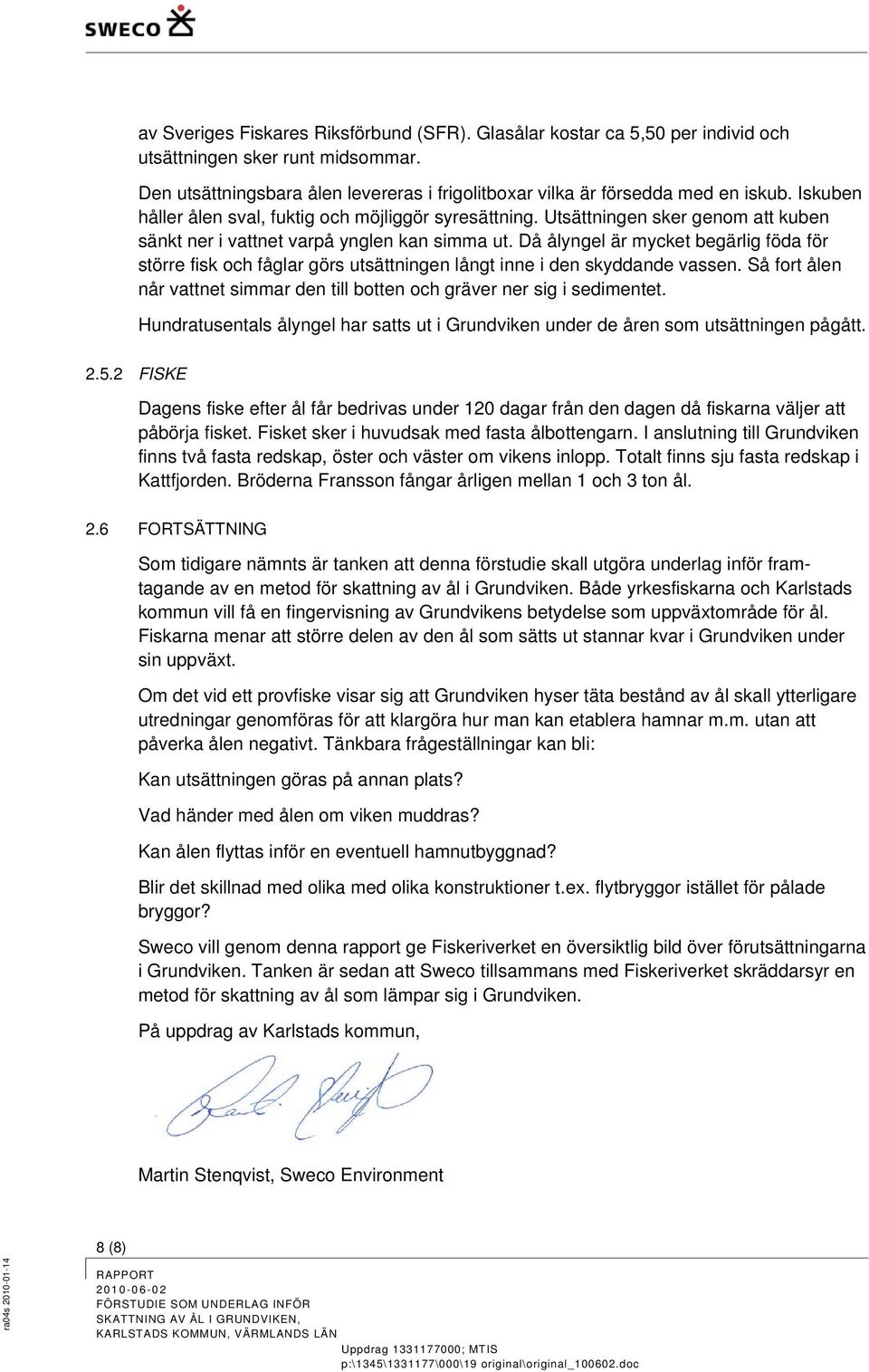 Då ålyngel är mycket begärlig föda för större fisk och fåglar görs utsättningen långt inne i den skyddande vassen. Så fort ålen når vattnet simmar den till botten och gräver ner sig i sedimentet.