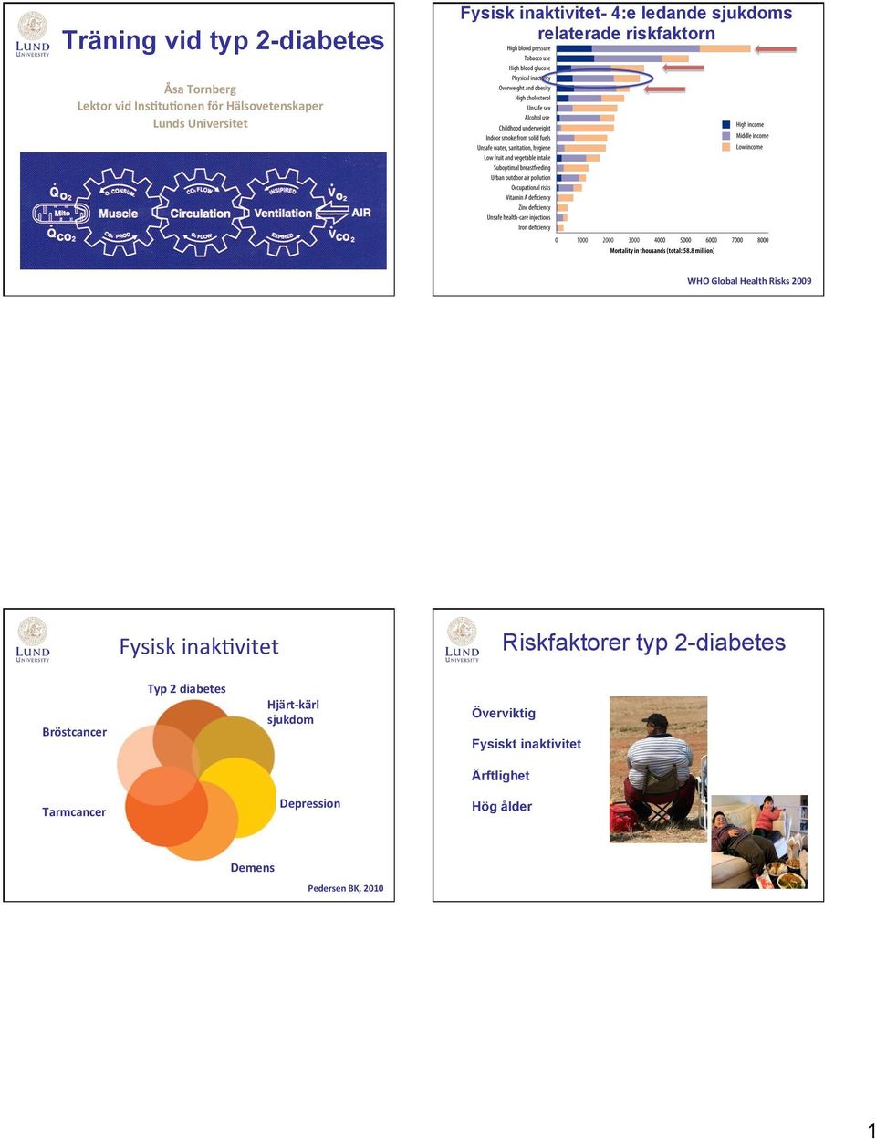 2009 Fysisk inak)vitet Riskfaktorer typ 2-diabetes Bröstcancer Typ 2 diabetes Hjärt- kärl