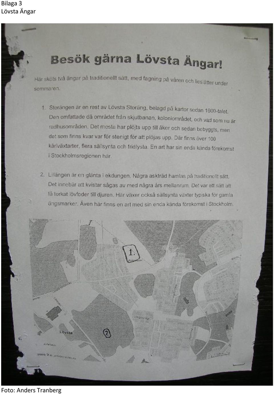 Ängar