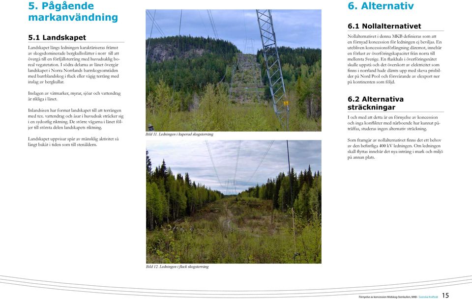 I södra delarna av länet övergår landskapet i Norra Norrlands barrskogsområden med barrblandskog i flack eller vågig terräng med inslag av bergkullar.