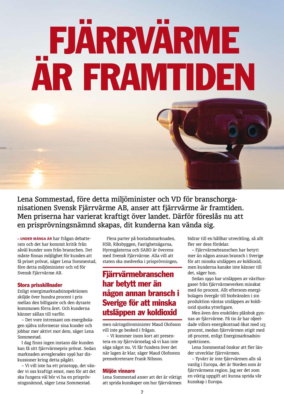 Det måste finnas möjlighet för kunden att få priset prövat, säger Lena Sommestad, före detta miljöminister och vd för Svensk Fjärrvärme AB.