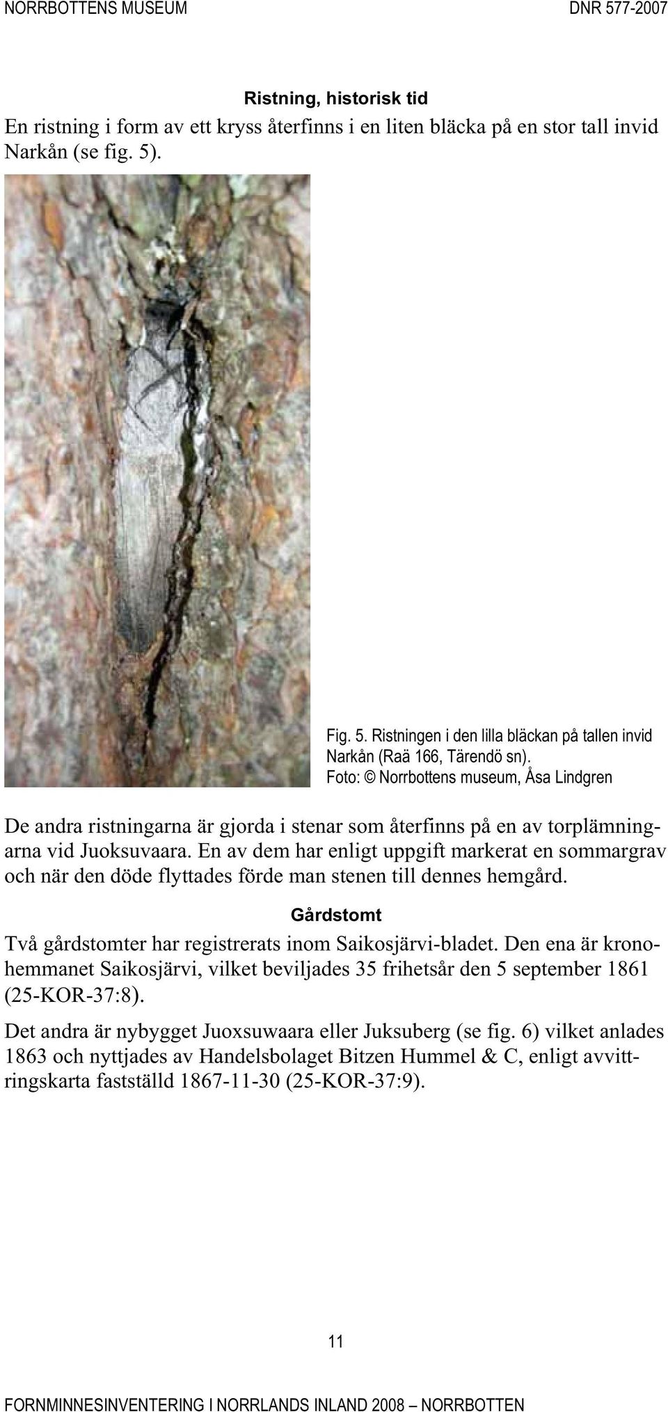 Foto: Norrbottens museum, Åsa Lindgren De andra ristningarna är gjorda i stenar som återfinns på en av torplämningarna vid Juoksuvaara.