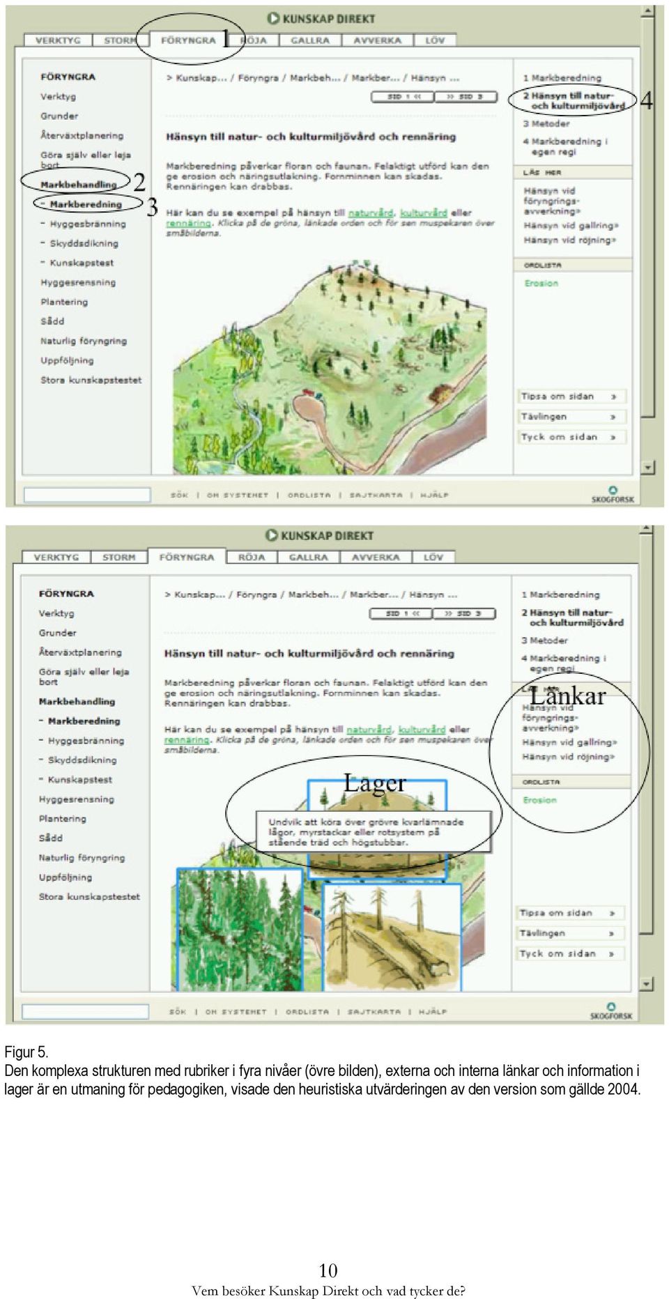 bilden), externa och interna länkar och information i