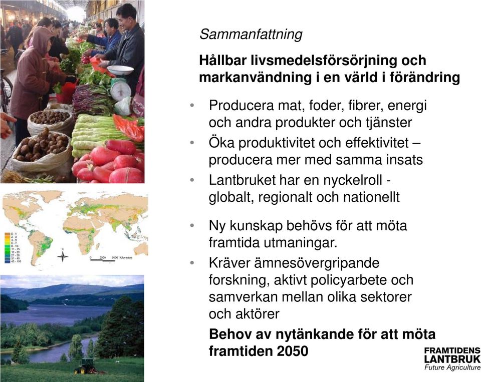 www.slu.