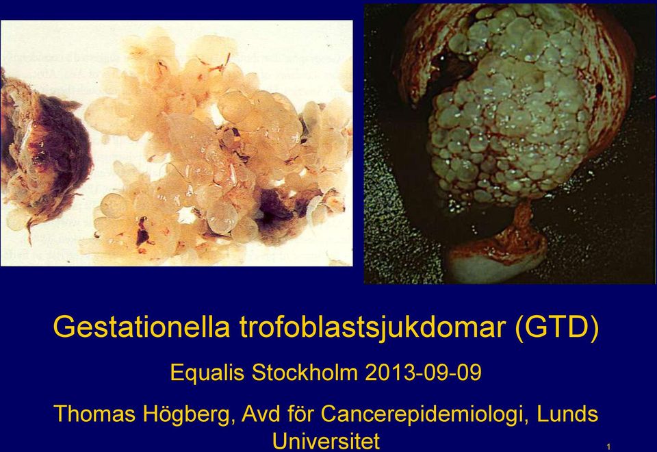 Equalis Stockholm 2013-09-09