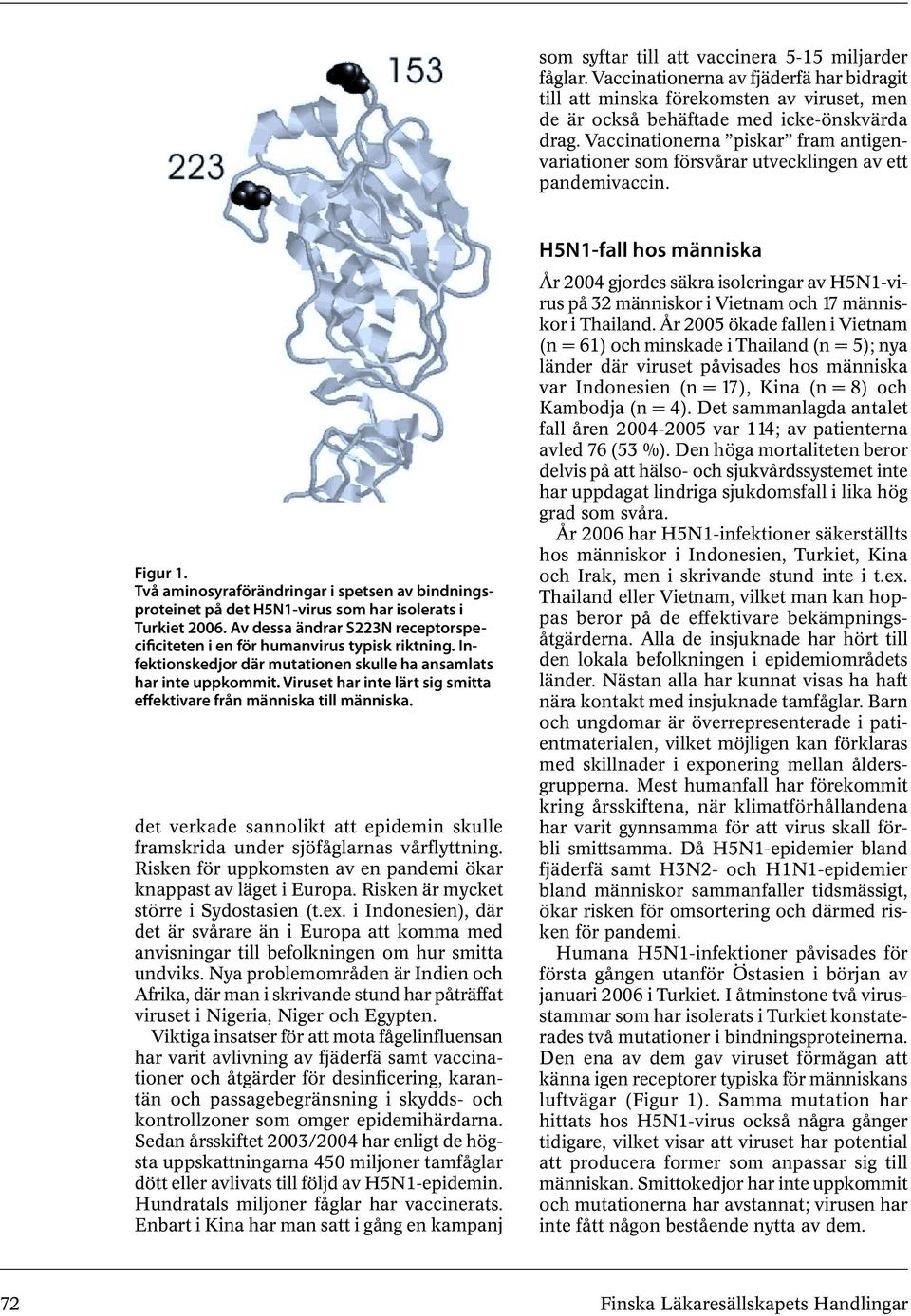 Två aminosyraförändringar i spetsen av bindningsproteinet på det H5N1-virus som har isolerats i Turkiet 2006. Av dessa ändrar S223N receptorspecificiteten i en för humanvirus typisk riktning.