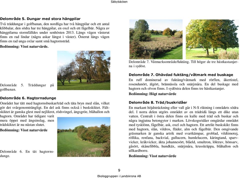 Bedömning: Visst naturvärde. Delområde 7. Våtmarksområde/fuktäng. Till höger de tre hästkastanjerna i sydöst. Delområde 5. Träddungar på golfbanan. Delområde 6.